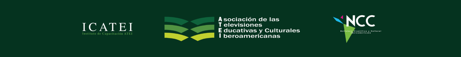 Consejo Directivo ATEI | 2020 - 2024
